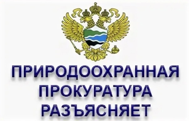 Дербентская межрайонная природоохранная прокуратура разъясняет изменения законодательства в сфере охраны водных биологических ресурсов.