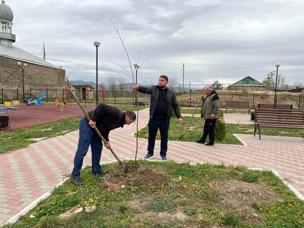 ОЗЕЛЕНЕНИЕ СКВЕРА В ЦЕНТРАЛЬНОЙ ЧАСТИ СЕЛА АШАГА-СТАЛ И УЛИЦЫ ШОССЕЙНОЙ.