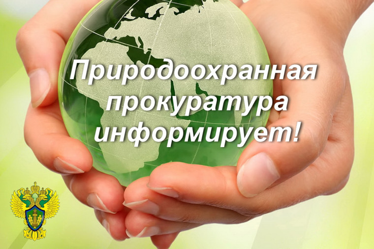 Дербентская межрайонная природоохранная прокуратура разъясняет об ответственности за незаконную рубку лесных насаждений.. Дербентская межрайонная природоохранная прокуратура разъясняет об ответственности за незаконную рубку лесных насаждений..