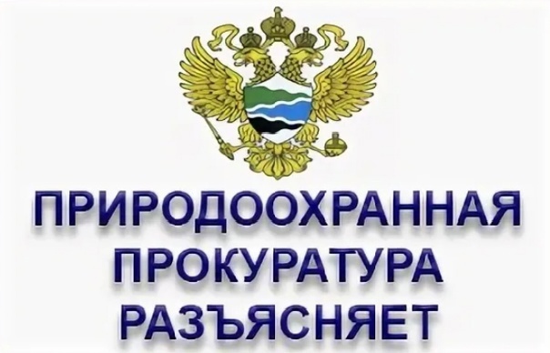 Дербентская межрайонная прокуратура разъясняет законодательство об охране лесов от пожаров.. Дербентская межрайонная прокуратура разъясняет законодательство об охране лесов от пожаров..