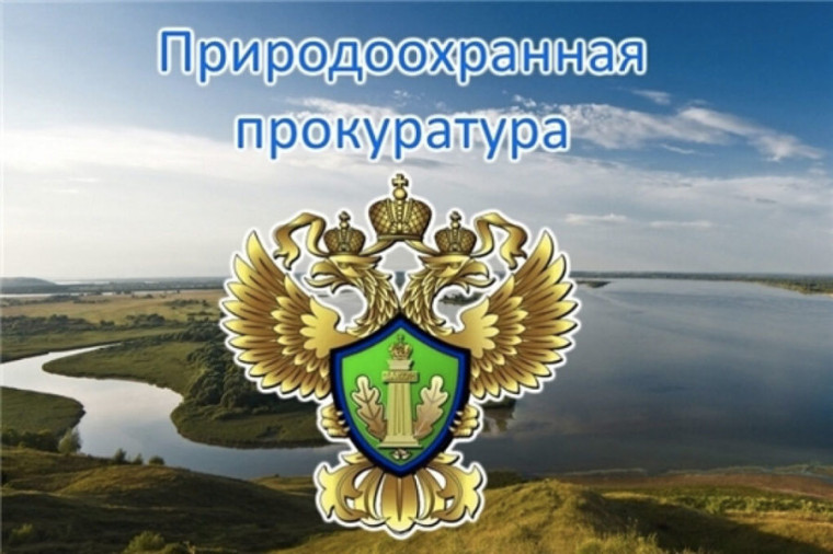 Прокуратура разъясняет. Прокуратура разъясняет.